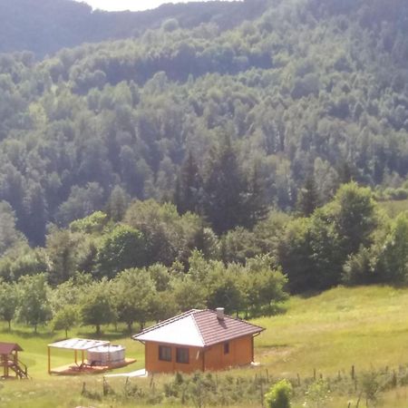 Bed and Breakfast Turizam Koturovic Ivanjica Zewnętrze zdjęcie