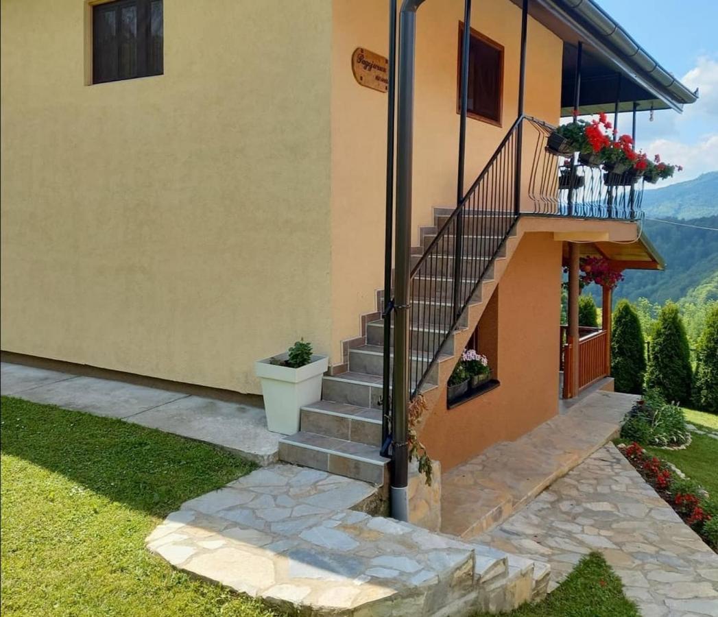 Bed and Breakfast Turizam Koturovic Ivanjica Zewnętrze zdjęcie