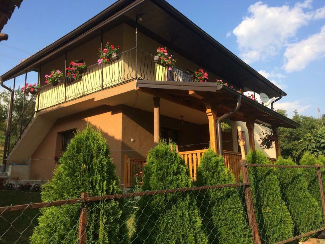 Bed and Breakfast Turizam Koturovic Ivanjica Zewnętrze zdjęcie