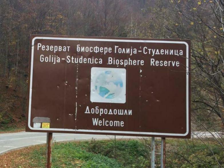 Bed and Breakfast Turizam Koturovic Ivanjica Zewnętrze zdjęcie