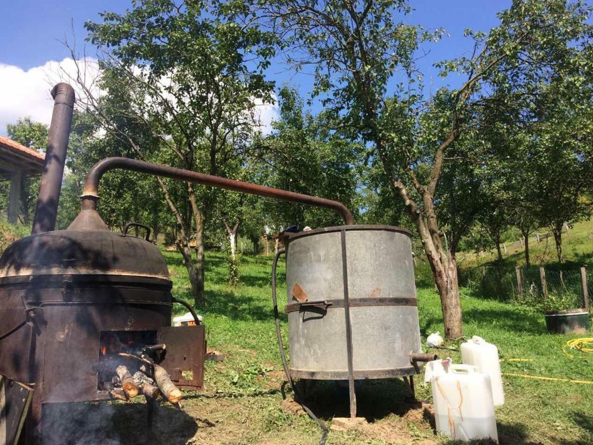 Bed and Breakfast Turizam Koturovic Ivanjica Zewnętrze zdjęcie