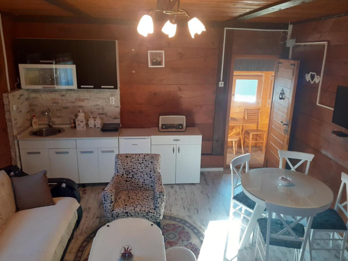 Bed and Breakfast Turizam Koturovic Ivanjica Zewnętrze zdjęcie